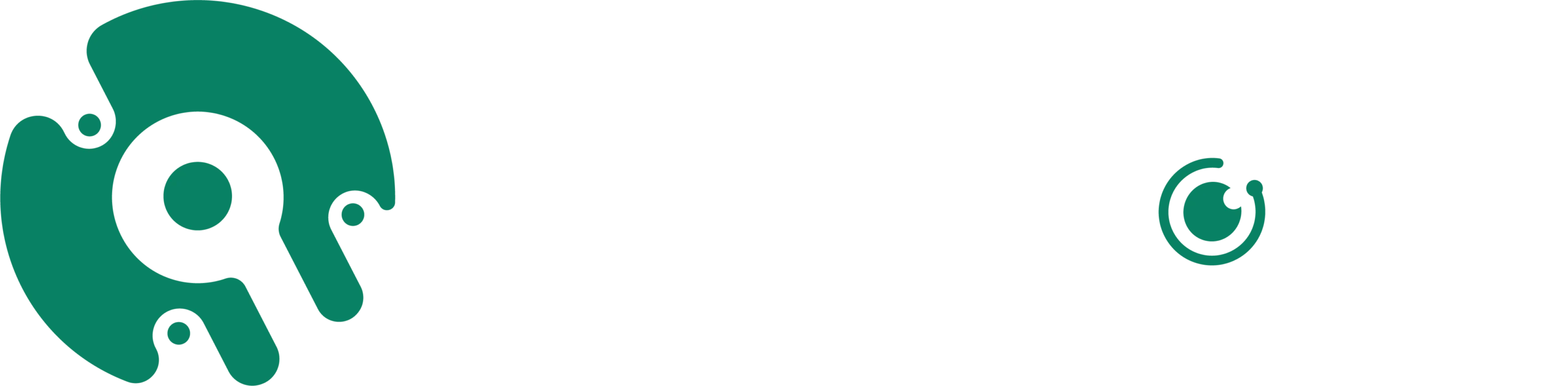 Q Vision